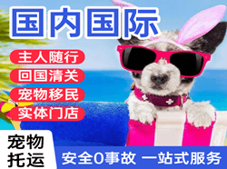 大同云冈机场货运国际宠物托运 【国